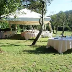 Grana Da Acea
