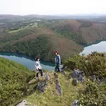 Grana Da Acea *