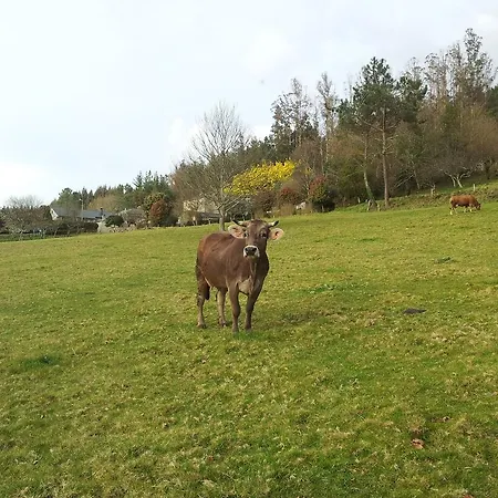 Grana Da Acea Country house