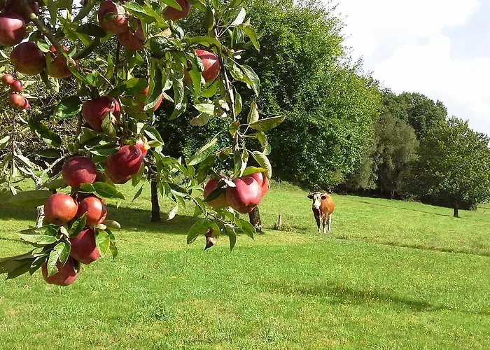 カントリーハウス Grana Da Acea Monfero
